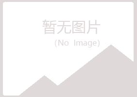 青山区夏青咨询有限公司